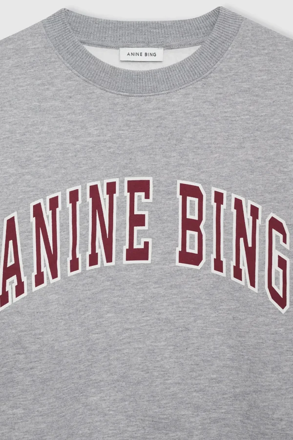 Anine Bing Hoodies & Sweatshirts<Sweatshirt Spencer in Medium Grey